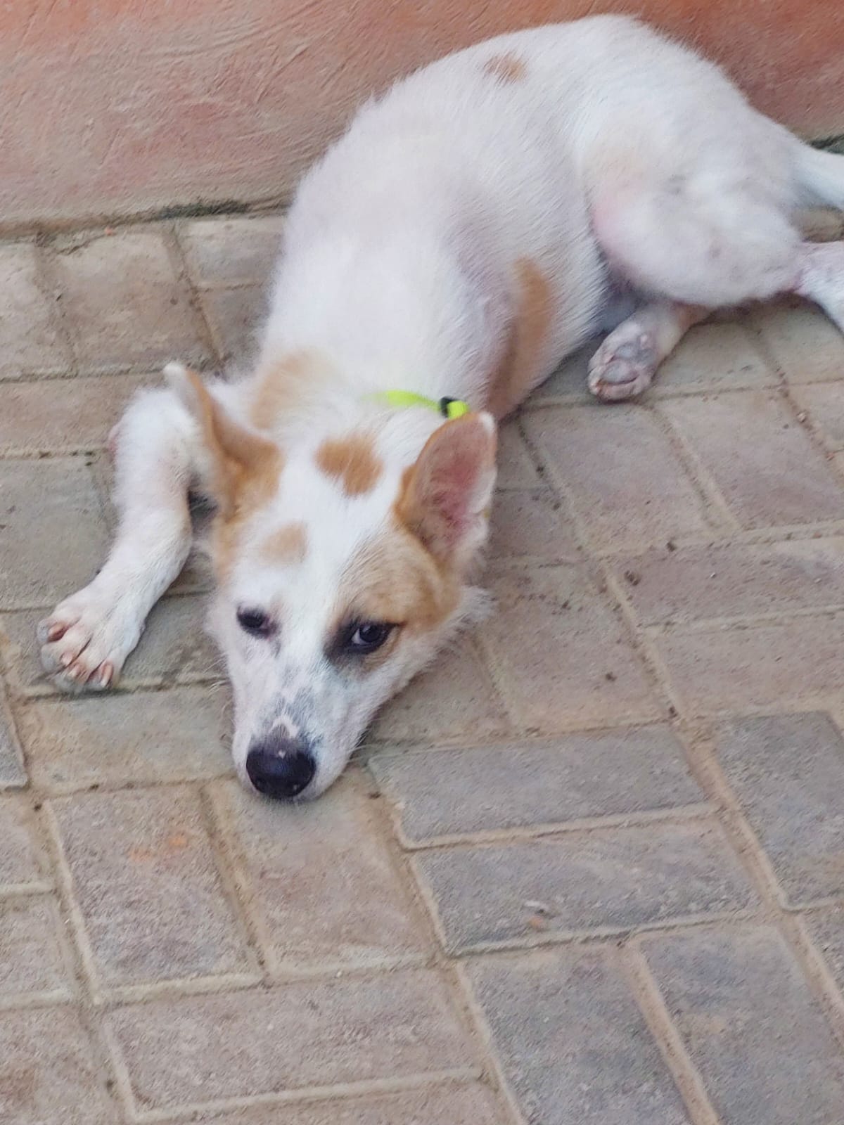 عزوز يسترخي